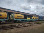 BRAD PCT-080166-6